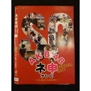 ○010642 レンタルUP●DVD AKB48 ネ申テレビ SP2011 〜汗と涙のスポ根祭り〜 80150 ※ケース無