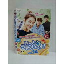 ○010455 レンタルUP△DVD きっと・うまくいくよ! vol.14 12834 ※ケース無