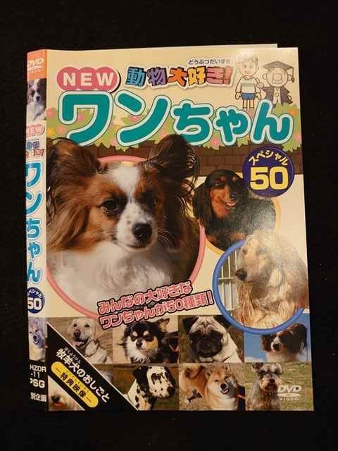 ○012542 レンタルUP・DVD NEW 動物大好き！ ワンちゃん スペシャル50 11 ※ケース無