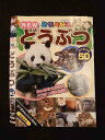 ○012541 レンタルUP・DVD NEW 動物大好き! どうぶつ スペシャル50 13 ※ケース無