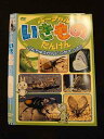 ○012541 レンタルUP・DVD バーチャルいきものたんけん こんちゅうかんにつれてって!! 4429 ※ケース無