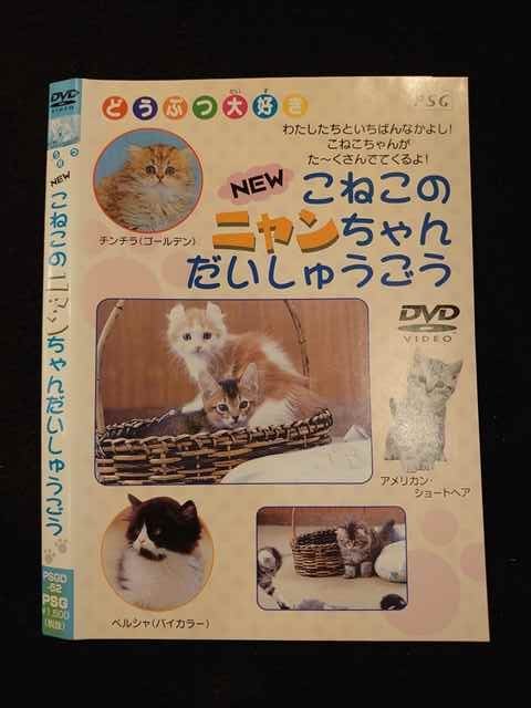 【ワンダフルデー★12月1日はポイント10倍】 ○012542 レンタルUP・DVD NEW こねこのニャンちゃんだいしゅうごう 52 ※ケース無
