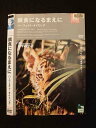 ○012559 レンタルUP・DVD 餌食になるまえに パーフェクト・タイミング 50022 ※ケース無