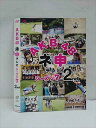 ○012659 レンタルUP・DVD AKB48 ネ申テレビ シーズン7 2nd 80186 ※ケース無