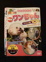 ○012767 レンタルUP:DVD 動物大好き! NEWワンちゃん スペシャル100 103 ※ケース無