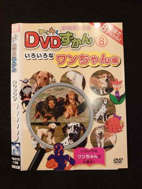 ◆　商品説明　◆ レンタルUP・中古商品になります。 ケースは付属しておりません。 タイトル記載の通り、ジャケット・ディスクのみの商品になります。 商品性質上、ジャケット、ディスクにレンタル管理用シールの付着や、傷み、汚れ等がある場合がございます。 ディスクデータ面にはクリーニング処理を行っており、深いキズがある場合は研磨処理を行っております。 再生機器によっては映像に乱れ・支障が出る可能性もございますので、予めご了承ください。 レンタルUPDVDケース無し商品の発送方法につきまして、ゆうメール1便で13本まで同梱が可能です。 商品状態の確認等、ご不明な点がありましたら、お気軽にお問い合わせください。