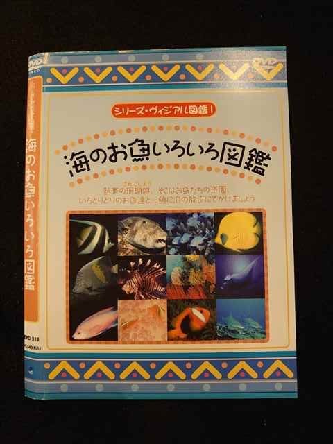 ○012767 レンタルUP：DVD シリーズ・ヴィジュアル図鑑1 海のお魚いろいろ図鑑 313 ※ケース無