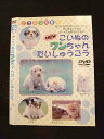 ○013677 レンタルUP*DVD どうぶつ大好き NEW こいぬのワンちゃんだいしゅうごう ※ケース無