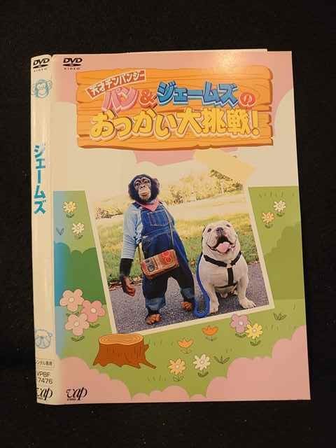 【ワンダフルデー★12月1日はポイント10倍】 ○013671 レンタルUP*DVD 天才チンパンジー パン&ジェームズのおつかい大挑戦！ 17476 ※ケース無