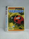 ○019420 レンタルUP◇DVD 自然なぜなに?DVD図鑑 ナナホシテントウ 34437 ※ケース無
