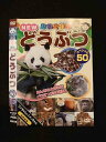 ○014613 レンタルUP■DVD NEW 動物大好き! どうぶつ スペシャル50 13 ※ケース無