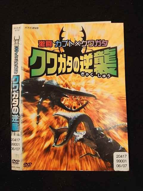 ◆　商品説明　◆ レンタルUP・中古商品になります。 ケースは付属しておりません。 タイトル記載の通り、ジャケット・ディスクのみの商品になります。 商品性質上、ジャケット、ディスクにレンタル管理用シールの付着や、傷み、汚れ等がある場合がございます。 ディスクデータ面にはクリーニング処理を行っており、深いキズがある場合は研磨処理を行っております。 再生機器によっては映像に乱れ・支障が出る可能性もございますので、予めご了承ください。 商品状態の確認等、ご不明な点がありましたら、お気軽にお問い合わせください。