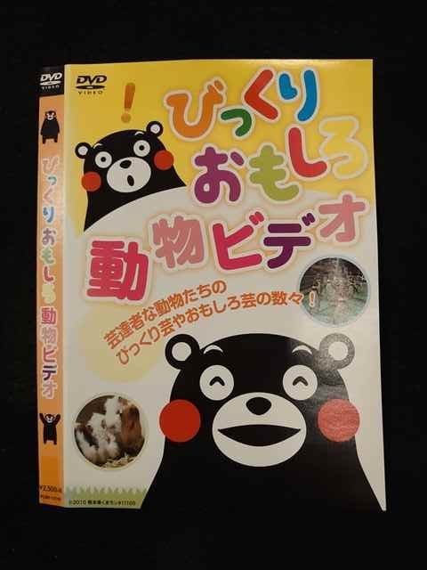 ◆　商品説明　◆ レンタルUP・中古商品になります。 ケースは付属しておりません。 タイトル記載の通り、ジャケット・ディスクのみの商品になります。 商品性質上、ジャケット、ディスクにレンタル管理用シールの付着や、傷み、汚れ等がある場合がございます。 ディスクデータ面にはクリーニング処理を行っており、深いキズがある場合は研磨処理を行っております。 再生機器によっては映像に乱れ・支障が出る可能性もございますので、予めご了承ください。 商品状態の確認等、ご不明な点がありましたら、お気軽にお問い合わせください。