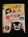 ○014899 レンタルUP□DVD びっくりおもしろ動物ビデオ 12162 ※ケース無