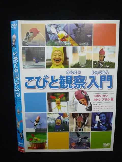 Z000095 レンタルUPDVD こびと観察入門 シボリ カワ ホトケ アラシ編 73936 ※ケース無