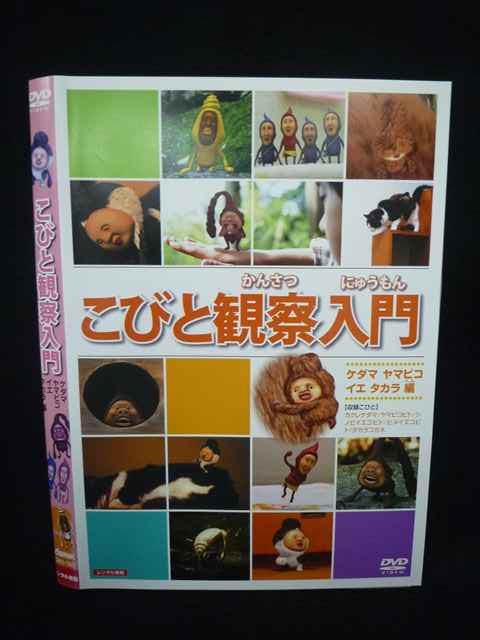 Z000095 󥿥UPDVD Ӥȴѻ  ޥӥ   73937 ̵