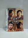○016988 レンタルUP☆DVD 恋愛小説 30070 ※ケース無
