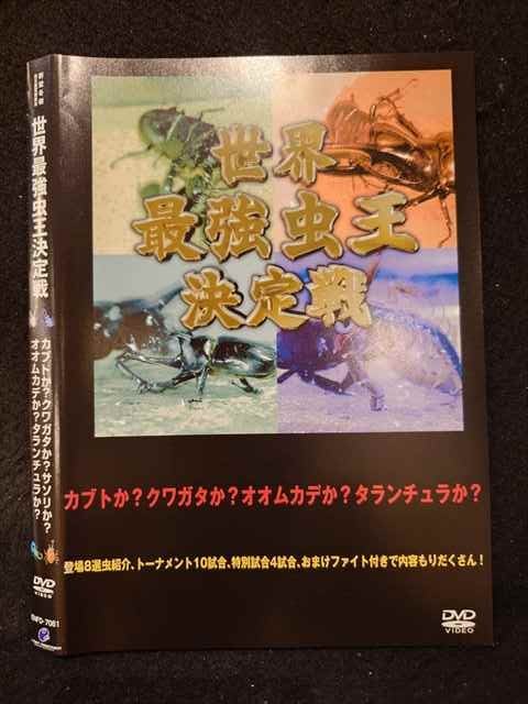 ○018475 レンタルUP◇DVD 世界最強虫王決定戦 カブトか？クワガタか？サソリか？オオムカデか？タランチ..