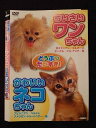 ○018475 レンタルUP◇DVD どうぶつだいすき! ちいさいワンちゃん&かわいいネコちゃん ※ケース無