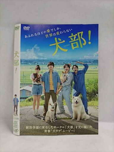 ○018884 レンタルUP◇DVD 犬部! 23541 ※ケース無 ○018884 レンタルUP◇DVD 犬部! 23541 ※ケース無