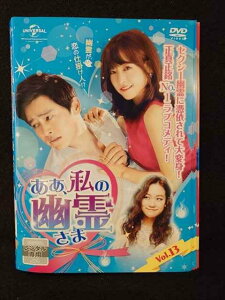 ys0154 レンタルUP◇DVD ああ、私の幽霊さま 全13巻 ※ケース無