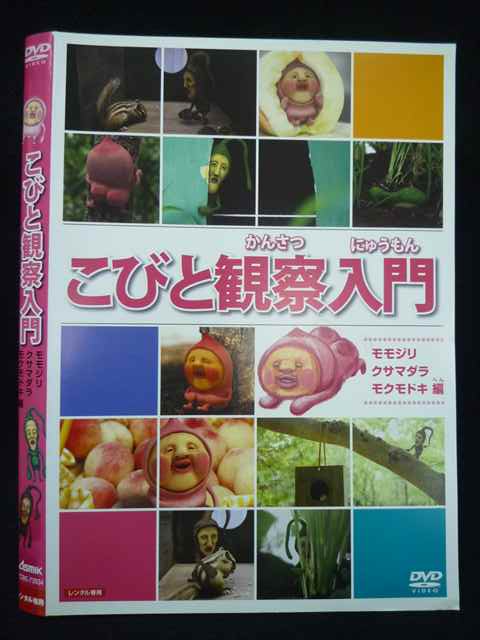 【ワンダフルデー★12月1日はポイント10倍】 Z000071 レンタルUPDVD こびと観察入門 モモジリ クサマダラ モクモドキ編 73934 ※ケース無