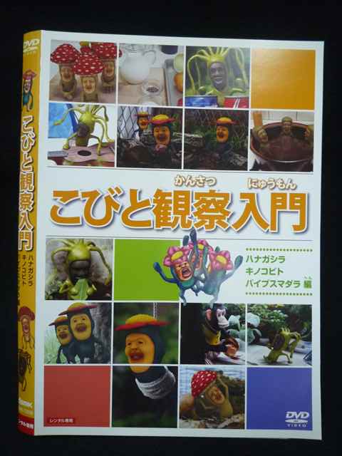【ワンダフルデー★12月1日はポイント10倍】 Z000077 レンタルUPDVD こびと観察入門 ハナガシラ キノコビト バイブスマダラ編 ※ケース無