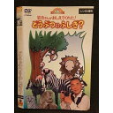 ○005883 レンタルUP□DVD 岩合さんがおしえてくれた!どうぶつのふしぎ? 50012 ※ケース無