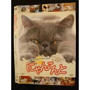 ○010175 レンタルUP☆DVD にゃんこんと 2305 ※ケース無