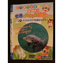 ○009799 レンタルUP☆DVD どうぶつ大好き あつまれ!! 5 世界のゆかいな動物たち 5 イルカとクジラを見にいこう! 57 ※ケース無