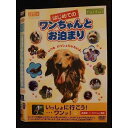 ◆　商品説明　◆ レンタルUP・中古商品になります。 ケースは付属しておりません。 タイトル記載の通り、ジャケット・ディスクのみの商品になります。 商品性質上、ジャケット、ディスクにレンタル管理用シールの付着や、傷み、汚れ等がある場合がございます。 ディスクデータ面にはクリーニング処理を行っており、深いキズがある場合は研磨処理を行っております。 再生機器によっては映像に乱れ・支障が出る可能性もございますので、予めご了承ください。 レンタルUPDVDケース無し商品の発送方法につきまして、ゆうメール1便で13本まで同梱が可能です。 商品状態の確認等、ご不明な点がありましたら、お気軽にお問い合わせください。