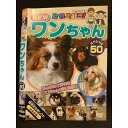 ○009799 レンタルUP☆DVD NEW 動物大好き! ワンちゃん スペシャル50 11 ※ケース無