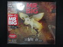 1305★未開封CD ホワット・イフ・・・/MR.BIG ※ワケ有