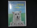 0083★未開封DVD カイくんの若草物語in北海道~スウィートメモリー~/カイくんとわんダース