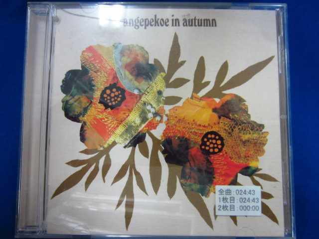 n35♯レンタル版CD orangepekoe in autumn/orange pekoe