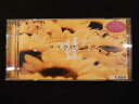 626 レンタル版CD タイヨウのうた オリジナル サウンドトラック/サントラ 1309
