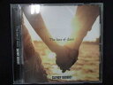 702#中古CD The last of days/CANDY GO!GO!