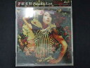 492＃中古CDS Paradise Lost/茅原実里