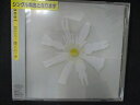 896 レンタル版CDS 恋だろ/僕らの一歩 /wacci