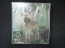 1035 未開封CDS 風になる(DVD付)/中村中 ※ワケ有