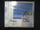 1054★未開封CD Blue Splash/TUBE ※ワケ有