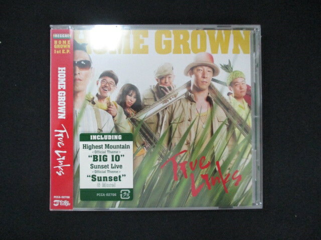 1069̤CD True Links/HOME GROWN 辰ͭ
