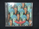 1072★未開封CD THE GARDEN/FRONTIER BACKYARD ※ワケ有