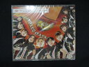 1076★未開封DVD シングルV「やったろうぜ!」 /音楽ガッタス ※ワケ有