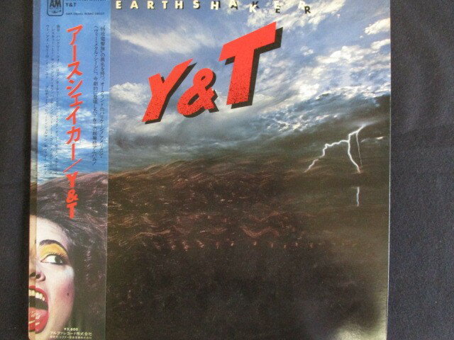 LP/쥳 0017/Y&T//AMP28046