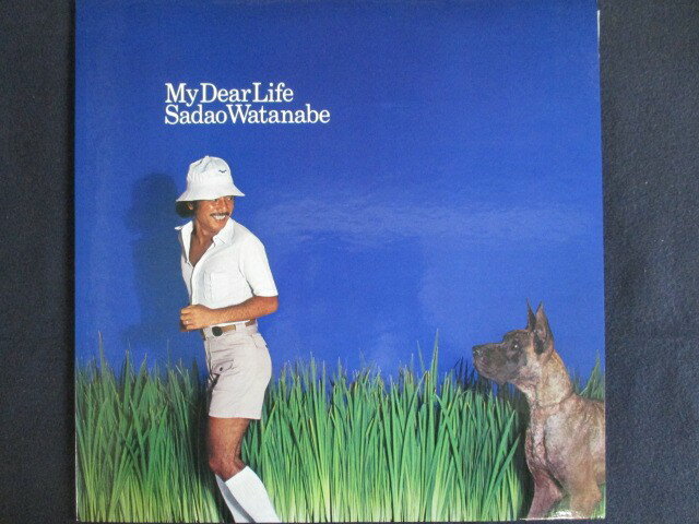 LP/R[h 0040nӒv/My Dear Life/VIJ6001