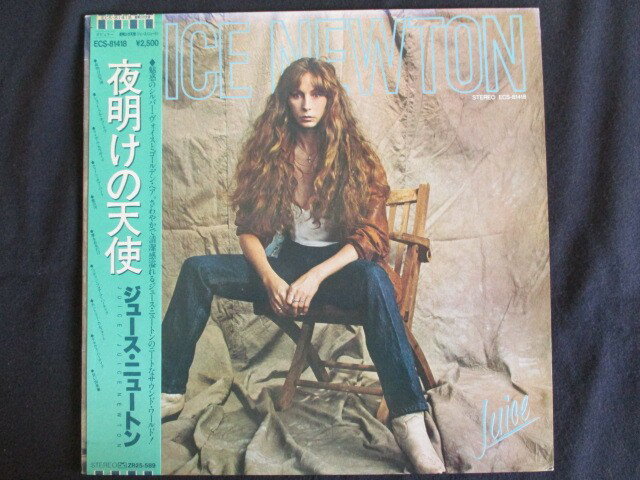 LP/R[h 0054W[Xj[g/閾̓Vg/ѕt/ECS81418