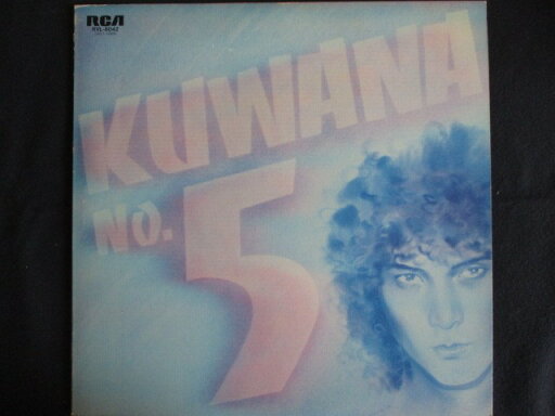 LP/レコード 0035■桑名正博/No.5/RVL8042 LP/レコード 0035■桑名正博/No.5/RVL8042