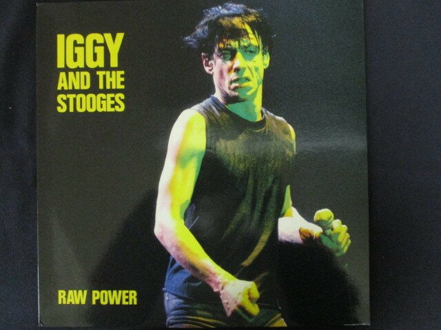 LP/R[h 0070IGG&THESTOOGES/RAW POWER/J[/CAX2EV10