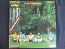 LP/レコード 0216■チューリップ/サムデイサムウェアー/帯付/2LP/ETP603178